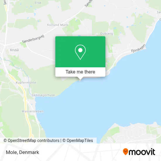 Mole map