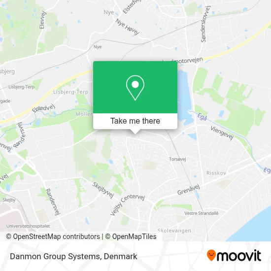 Danmon Group Systems map