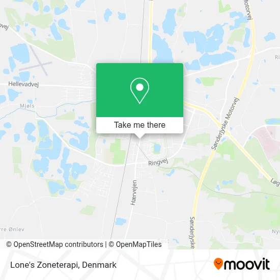 Lone's Zoneterapi map