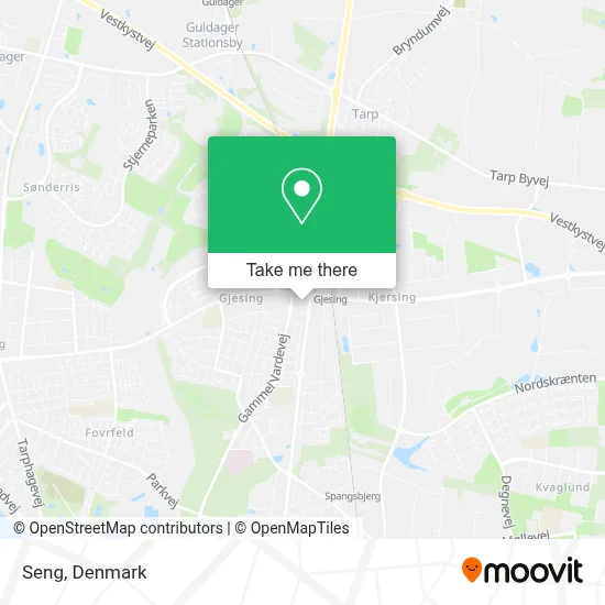 Seng map