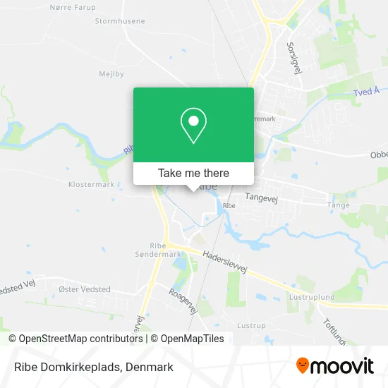 Ribe Domkirkeplads map