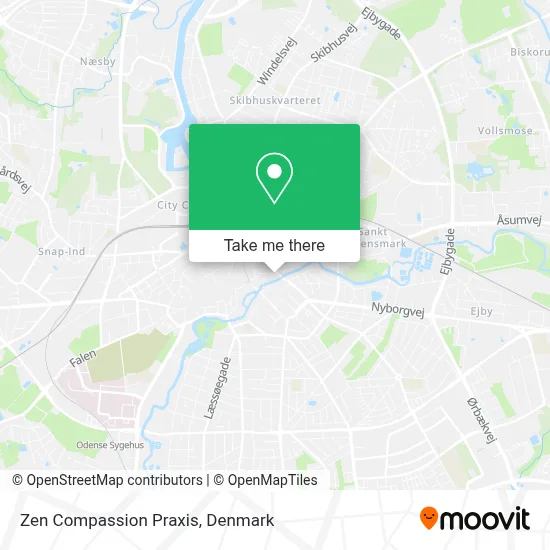 Zen Compassion Praxis map