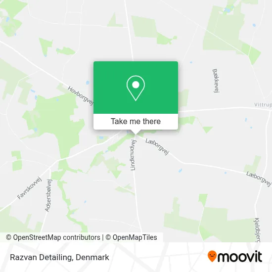 Razvan Detailing map