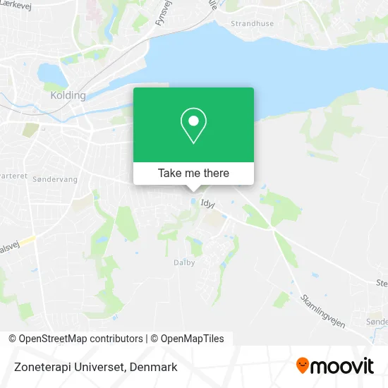 Zoneterapi Universet map