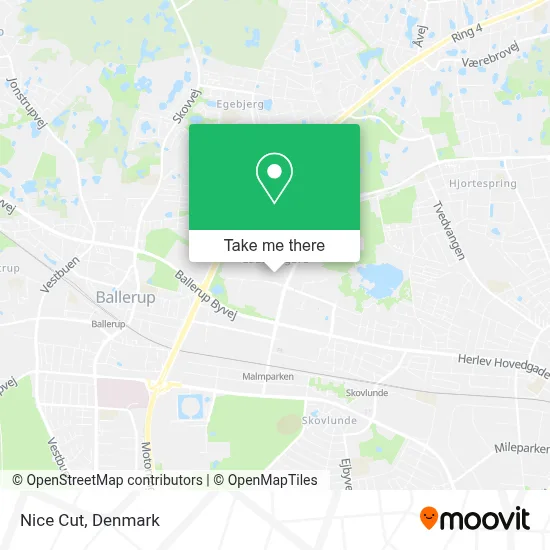 Nice Cut map