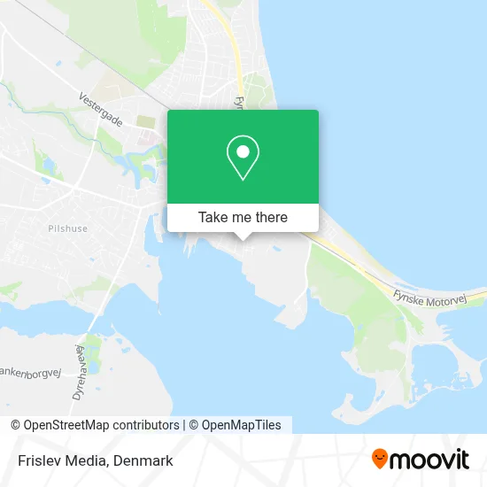 Frislev Media map
