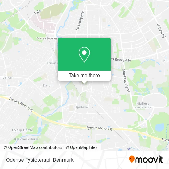Odense Fysioterapi map