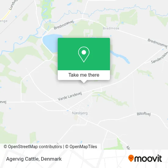 Agervig Cattle map