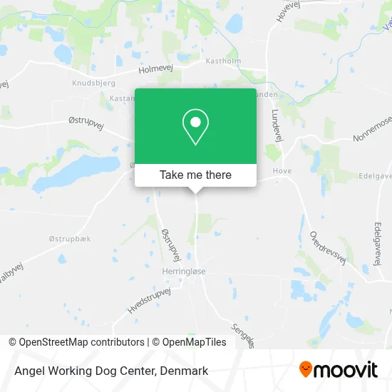 Angel Working Dog Center map