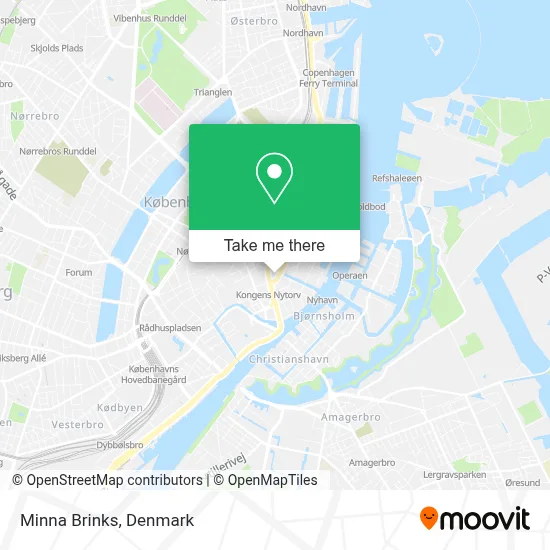 Minna Brinks map