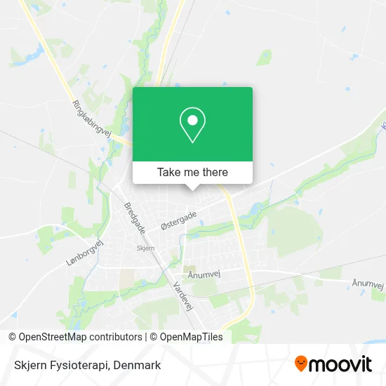 Skjern Fysioterapi map
