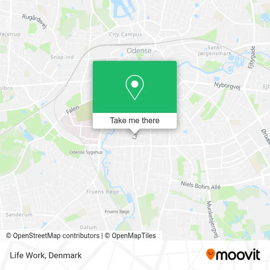 Life Work map