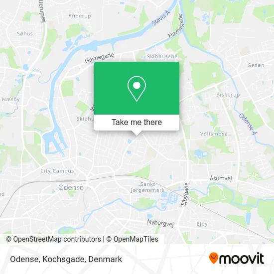 Odense, Kochsgade map