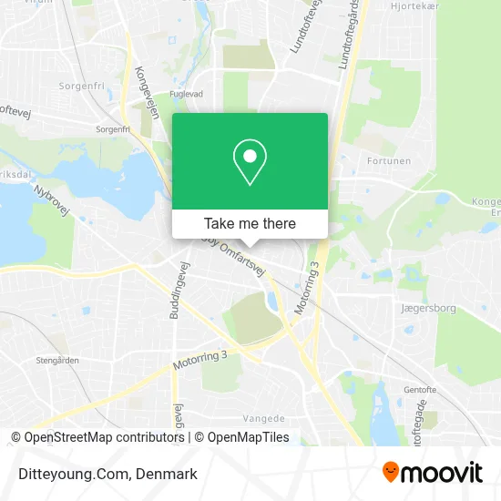 Ditteyoung.Com map