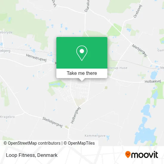 Loop Fitness map