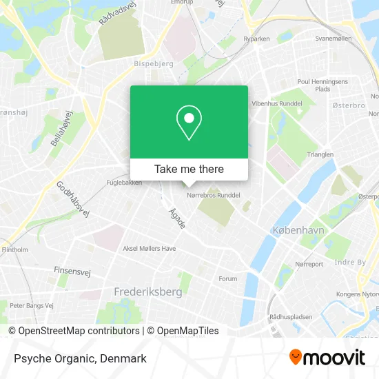 Psyche Organic map