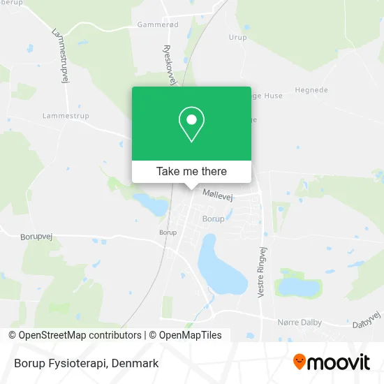 Borup Fysioterapi map