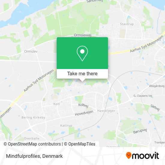 Mindfulprofiles map