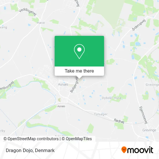 Dragon Dojo map