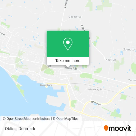 Obliss map