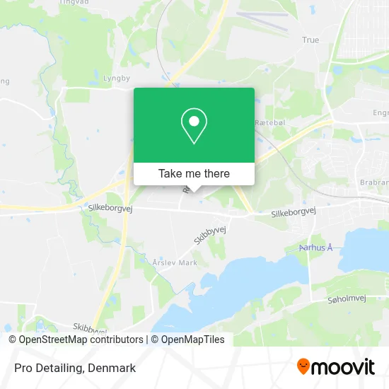 Pro Detailing map