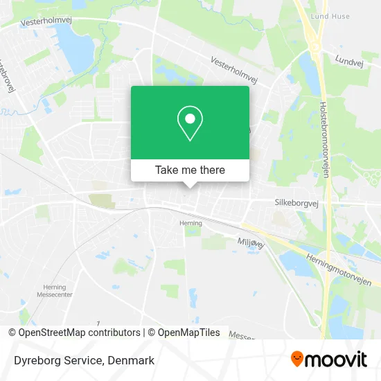 Dyreborg Service map