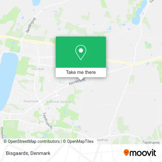 Bisgaards map