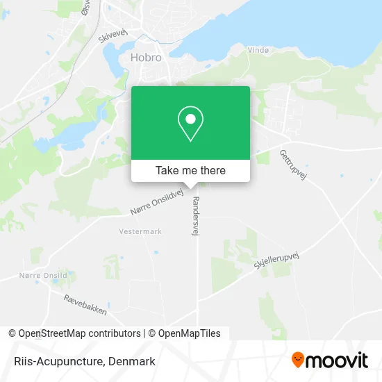 Riis-Acupuncture map