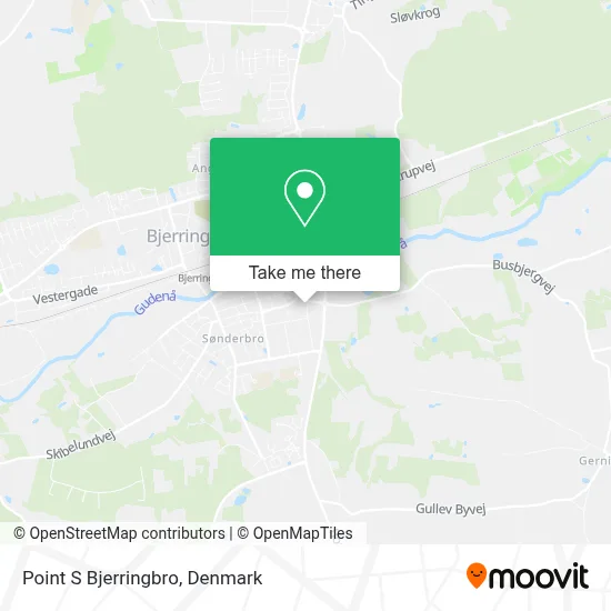 Point S Bjerringbro map