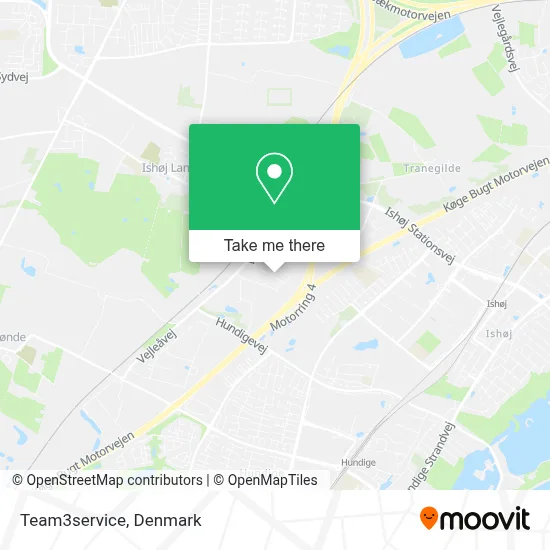 Team3service map