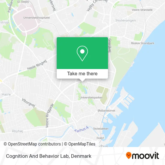 Cognition And Behavior Lab map