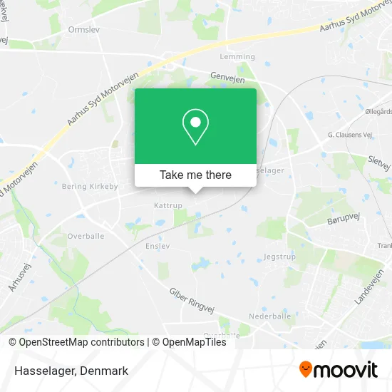Hasselager map