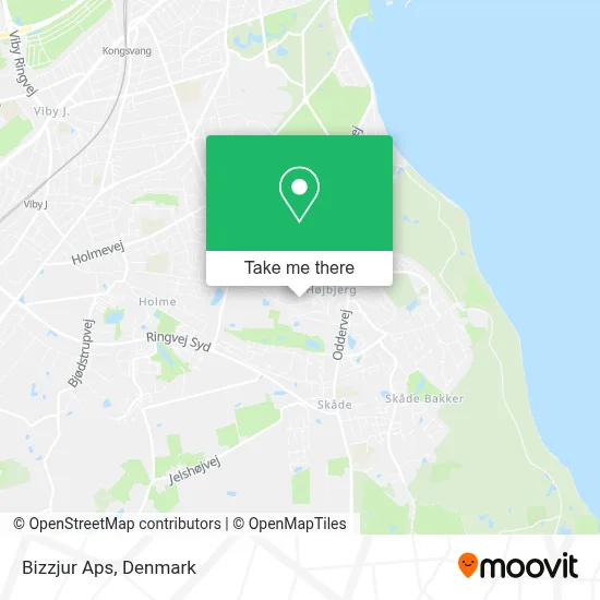 Bizzjur Aps map
