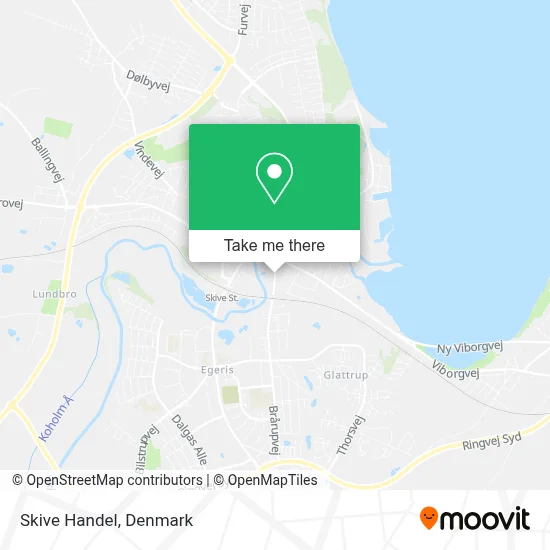 Skive Handel map