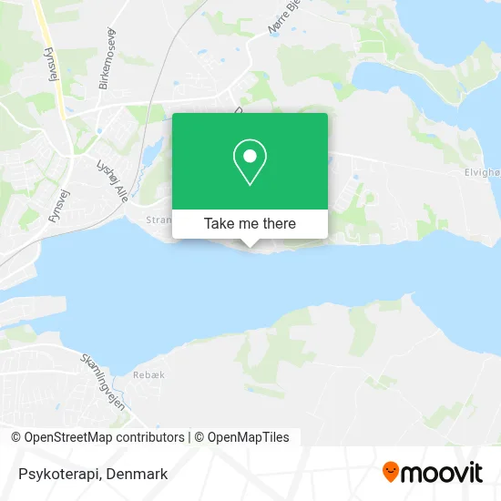 Psykoterapi map