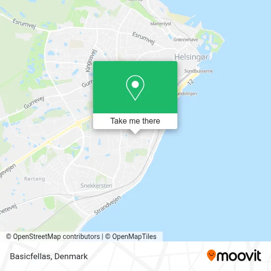 Basicfellas map