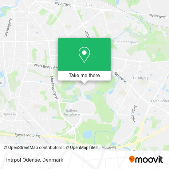 Intrpol Odense map