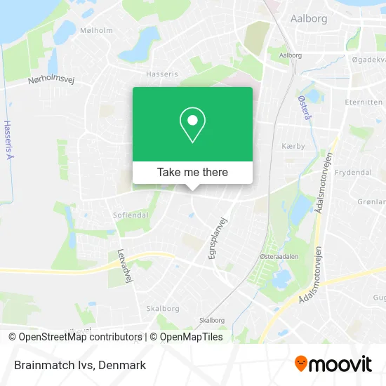 Brainmatch Ivs map