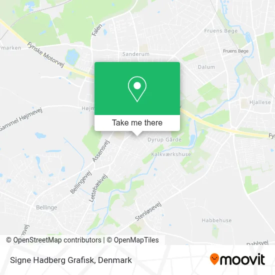 Signe Hadberg Grafisk map