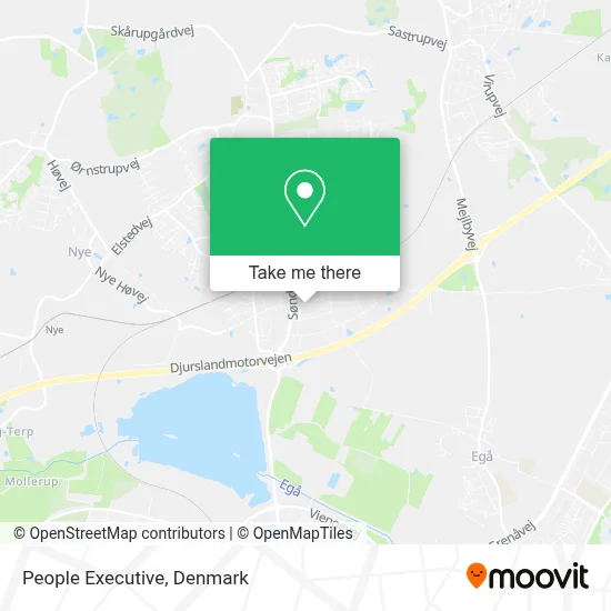 People Executive map
