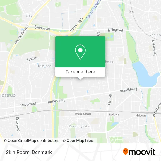 Skin Room map