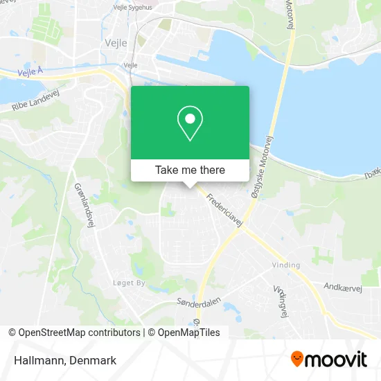 Hallmann map