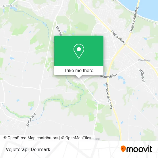 Vejleterapi map
