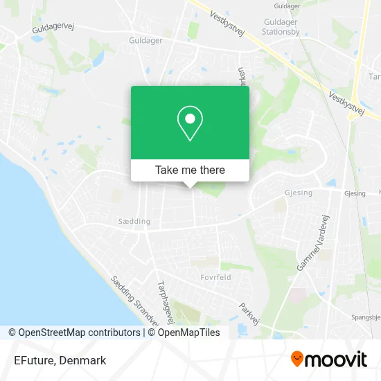Efuture map