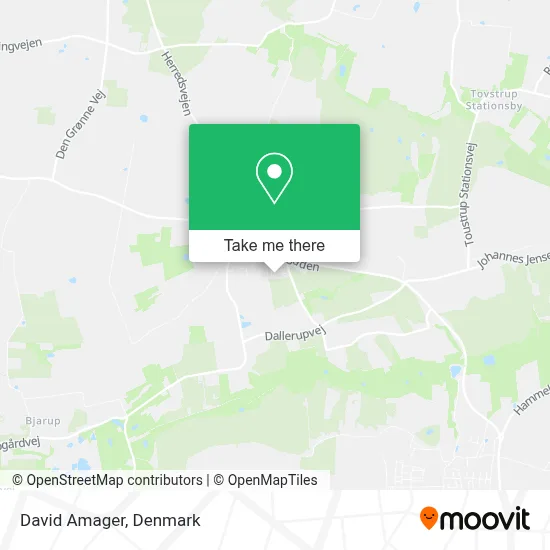 David Amager map
