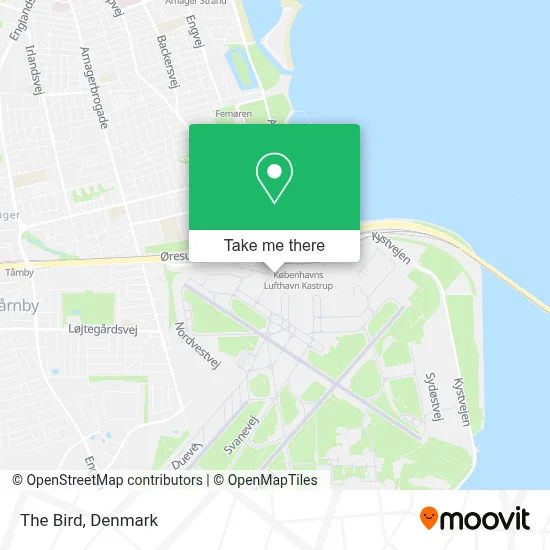 The Bird map