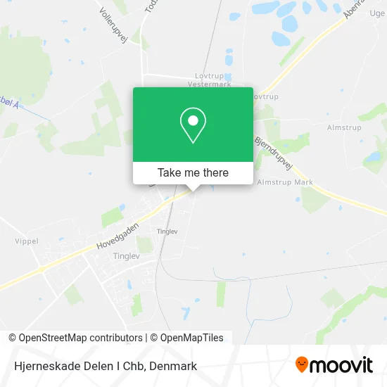 Hjerneskade Delen I Chb map