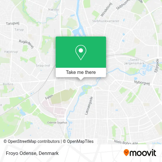 Froyo Odense map