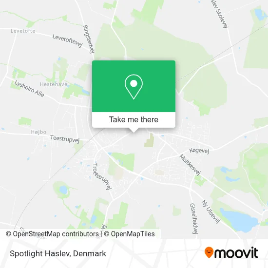 Spotlight Haslev map