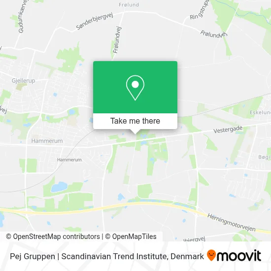 Pej Gruppen | Scandinavian Trend Institute map